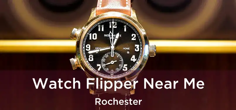 Watch Flipper Near Me Rochester